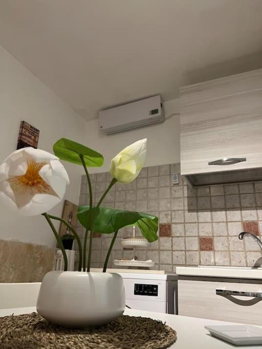 Casa Vacanze “Da Concetta” Bari Zewnętrze zdjęcie